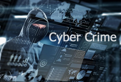 Cyber IT Law